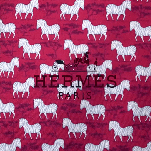 Hermes Paris Horse GIF by SHAREaLOOK