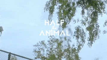 too late hta GIF by Half The Animal