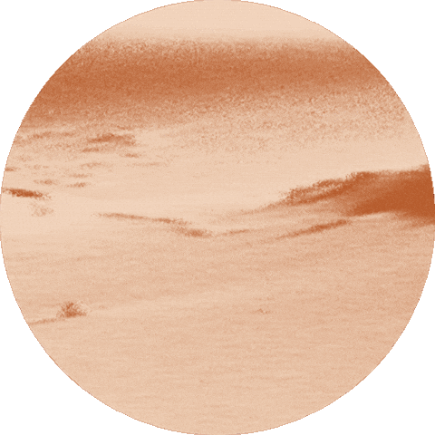 Summerforthecity Sticker by Lincoln Center