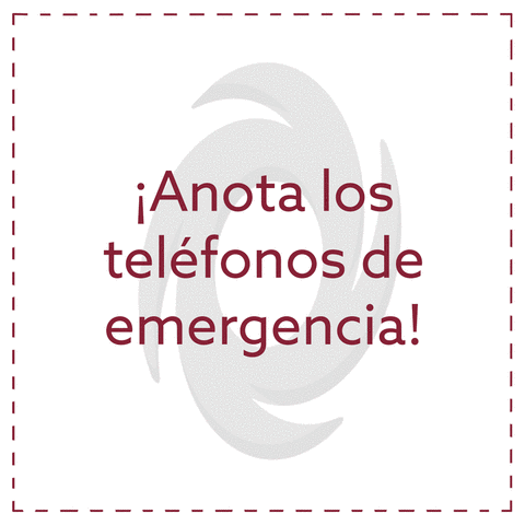 nicoleortiz-6f13 sagradoedu emergenciapr GIF