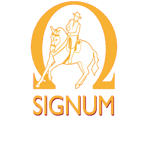 Signum Sattelservice Sticker