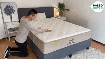 Bedbuyer GIF
