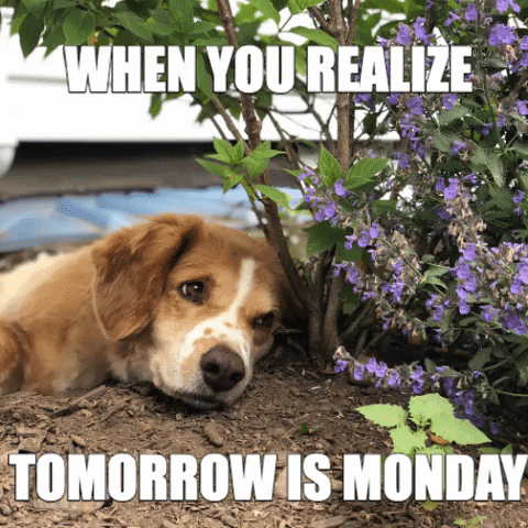 Life Rory GIF by the pallet people