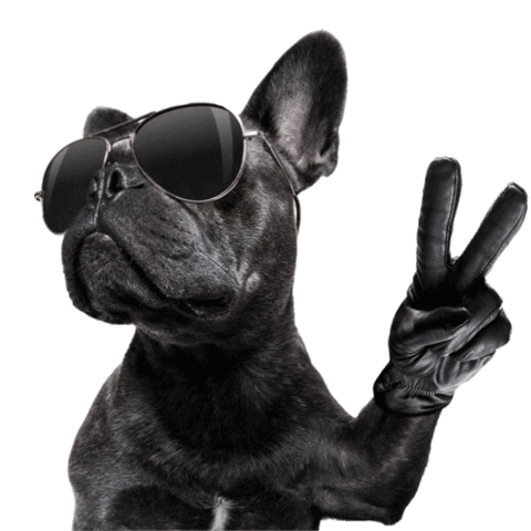 Vibes G30Mktecom Sticker by G30 - Gestão de Marcas