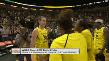 Happy Game 5 GIF by WNBA