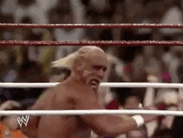 Hulk Hogan Sport GIF by WWE