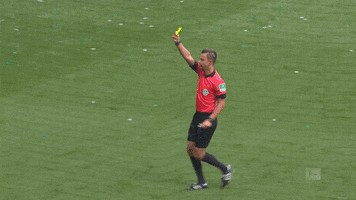bundesliga referee GIF by SV Werder Bremen