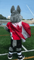 ashton sims dancing GIF by Toronto Wolfpack