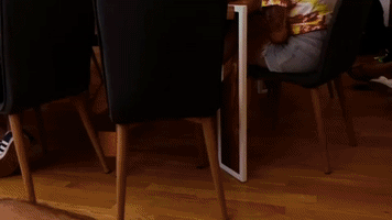 Irlcam GIF