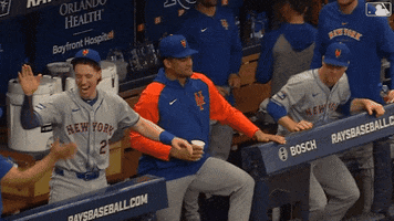High Five Baseball GIF by New York Mets