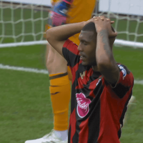GIF by AFC Bournemouth