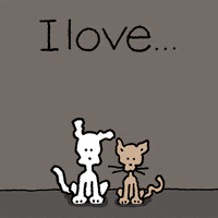 I Love You Cat GIF by Chippy the Dog