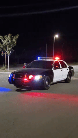 Crown Vic GIF