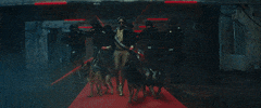 Deutschland Tiel GIF