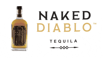Naked Diablo GIF
