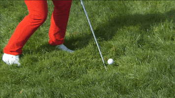 ball grass GIF by The Evian Championship