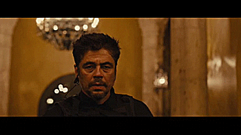 benicio del toro