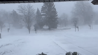 Wind Gusts Blow Powdery Snow in Buffalo