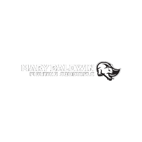 I Got In College Sticker by Mary Baldwin University