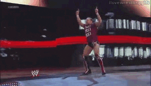 world wrestling entertainment