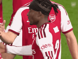Arsenal 2026 GIF by memes