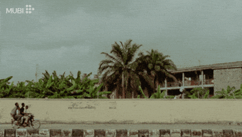 Film Cinema GIF by MUBI