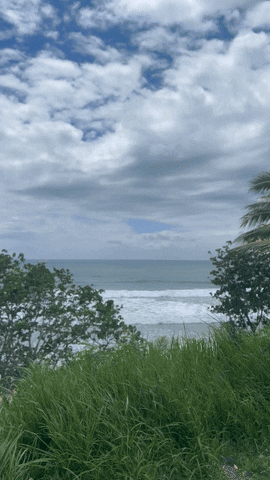 Puerto Rico Beach GIF