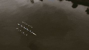 200.gif?cid=fc005b08ed9531675119aa51cf6eef00c06c6f5d7fe0ff6a&rid=200.gif&ct=g