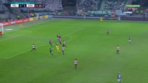 Gol GIF by SE Palmeiras - Find & Share on GIPHY