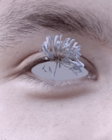 flowers eyeballs GIF by kingpalewave