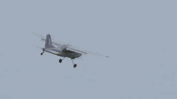 lacey chabert plane GIF by Hallmark Channel