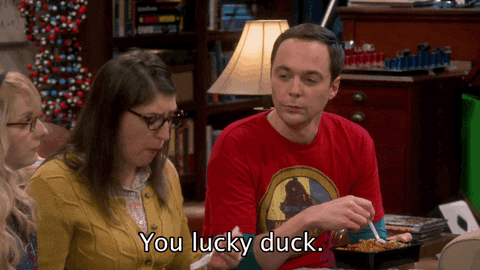 Lucky Duck GIFs - Get the best GIF on GIPHY