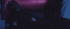 Legacy Dbds GIF by Dream But Don't Sleep