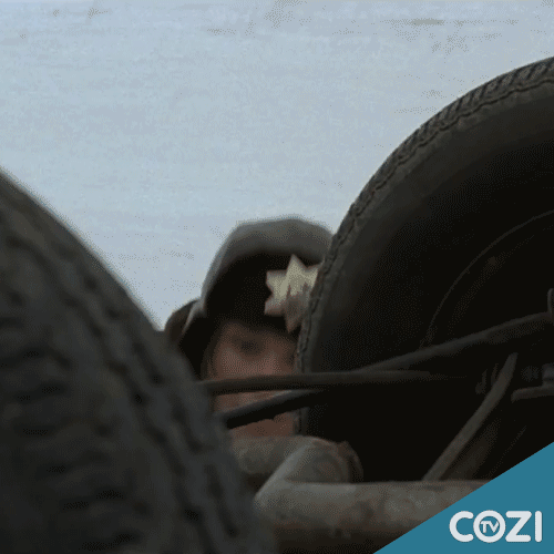 Frances Mcdormand GIF