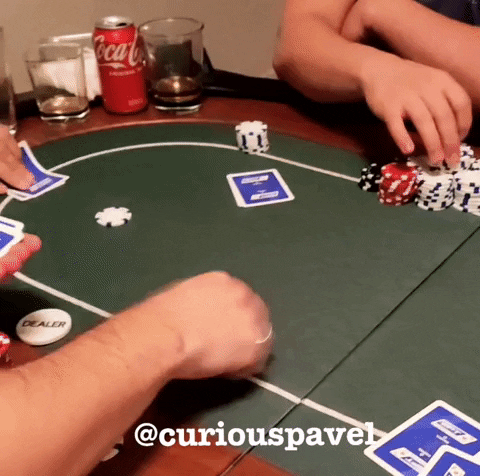 Im All In GIF by Curious Pavel