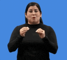 Asl Majority GIF