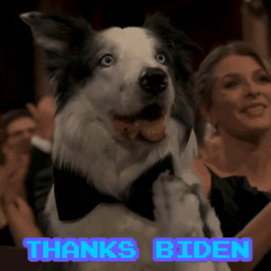 Dog Thank You GIF by Creative Courage