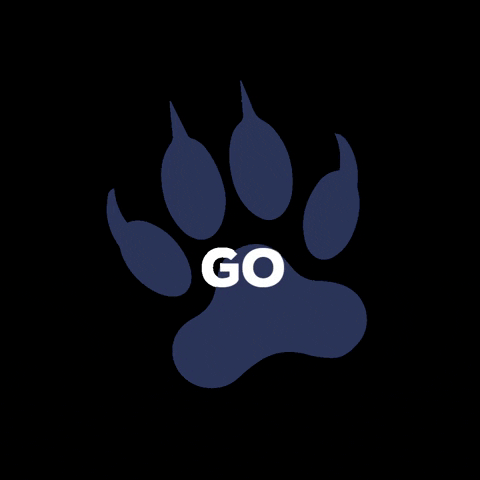 Paw Go Wolves GIF by Discoveryschoolhn
