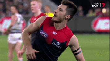 proud this is me GIF by Melbournefc