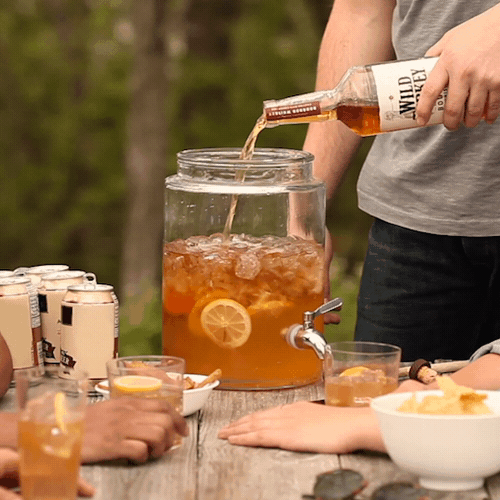 Wild Turkey Summer GIF
