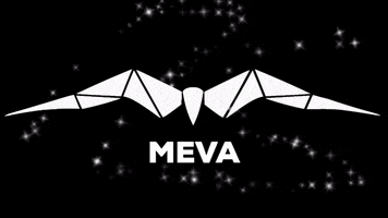 MEVA-Events party techno events familie GIF