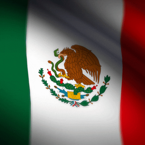 Mexican-flag GIFs - Get the best GIF on GIPHY