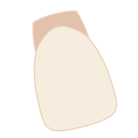 Dentista Sticker