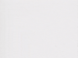 Prince GIF