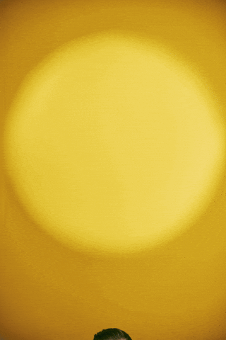 Damon Sharpe White Thriller GIF by Damon Sharpe