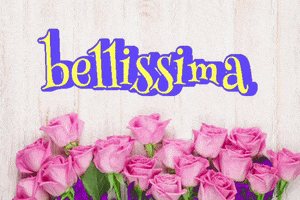 Bellissima GIF by NeighborlyNotary®