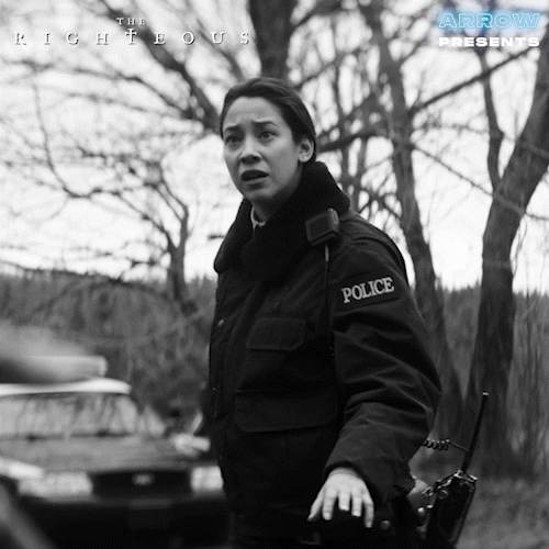 Police Reaction GIF by Arrow Video