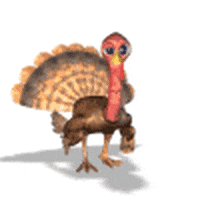 Twerk Your Turkey GIFs - Find & Share on GIPHY