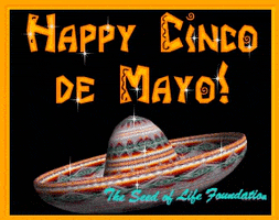 Happy Cinco De Mayo GIF by The SOL Foundation
