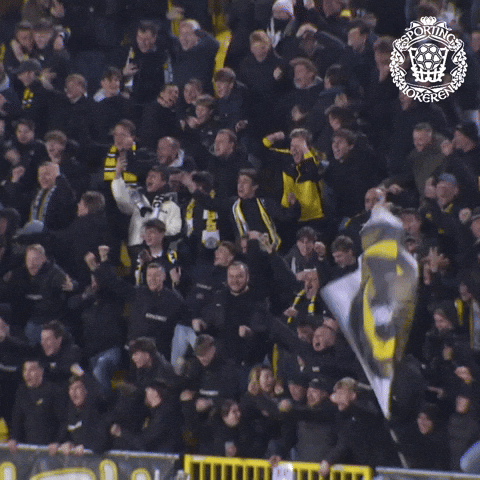 Celebration Sporting GIF by KSC Lokeren-Temse